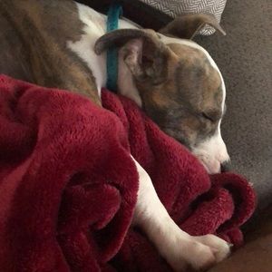 Meet your Posher, Darricka